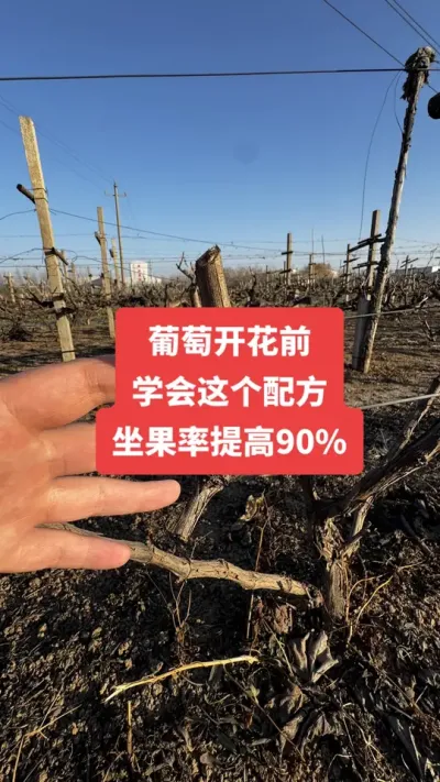 �����Ż�ǰ��ѧ������䷽�����������90%#�����Ż�#����ݪֲ#���Ѹ߲�