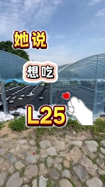 家里倆主子说要吃花香蓝莓，这回好像玩大了，建了个大棚种蓝莓，小小要求，拿捏#蓝莓自由#园艺盆栽 #盆栽蓝莓 #大数据把我推给爱吃蓝莓的人 #内容启发搜索