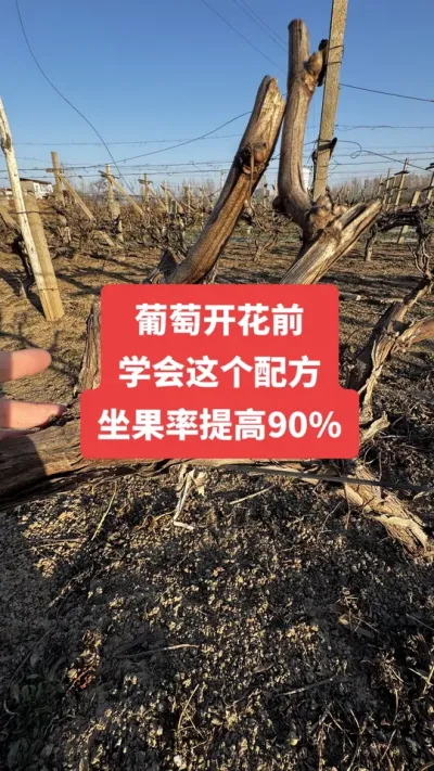 �����Ż�ǰ��ѧ������䷽�����������90%#�����Ż�#����ݪֲ#���Ѹ߲�