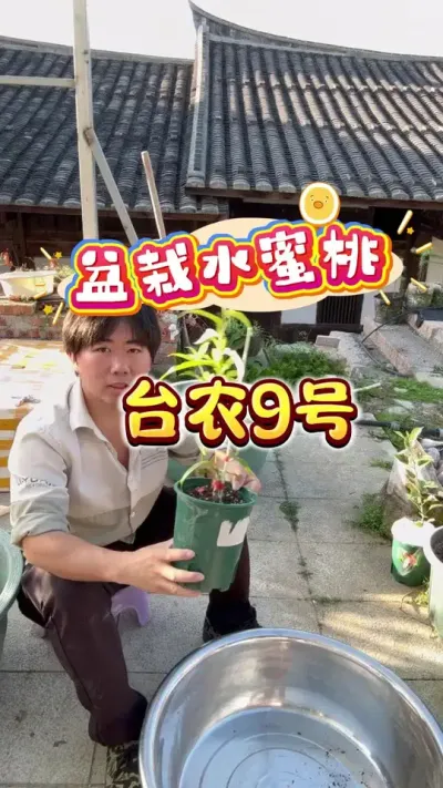 ̨ũ9��ˮ���Ҷ�ֲȫ����&hellip;&hellip;#���Թ��� #ˮ���� #¥����԰ #��ͥݪֲ