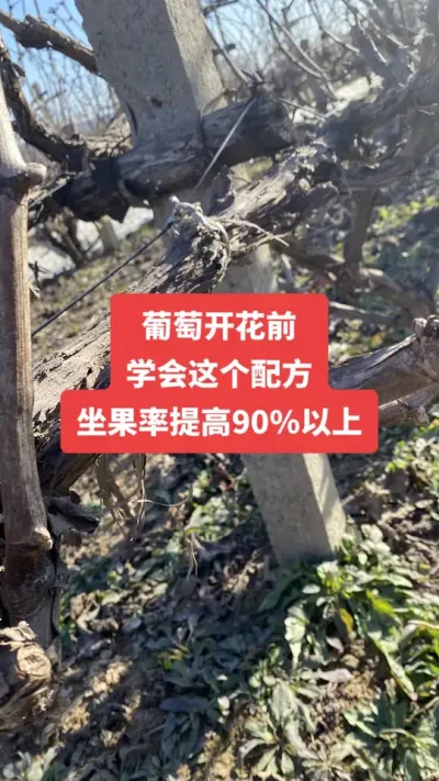 �����Ż�ǰ��ѧ������䷽�����������90%����#�����Ż�#����ݪֲ#���Ѹ߲�