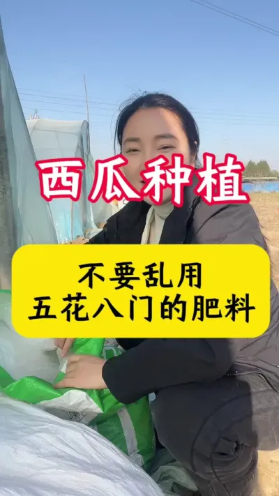 #������#����ݪֲ#���Ϲ���#����ݪֲ����