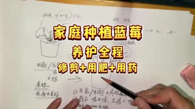 灵魂画师，重出江湖&mdash;&mdash;最详细的家庭盆栽蓝莓种植全过程图解，新手友好篇～包括修剪，用肥，用药，土可以看看前几个视频哦！#盆栽蓝莓 #楼顶果园#盆栽果树#蓝莓自由 #内容启发搜索
