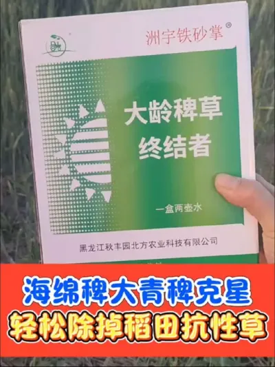 海绵稗大青稗克星就是铁砂掌 有了铁砂掌，稻田除草很轻松，稗草千金子牛筋草马唐一盒全搞定#水稻种植 #水稻除草剂 #水稻 #除草剂 #农资肥料