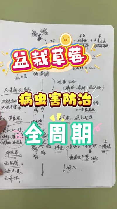 ��ͥݪֲ��ݮȫ���ڲ��溦����������һ�����Ż�Ϊ��ˮ�������ڿ�����һЩҩ���Ż���Ͳ���ҩֻ��һЩ�������������ȡ���������Ż������춬�쾭����Ҫ25���������󲿷�ҩ��ʣ���徲����7�����������ҹ���մҩ����