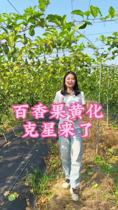 ������ƻ��������������˼ǵõ����ղ���������ֹ�´���Ҫʱ�Ҳ�����#�����ػ��� #�ҵ��������� #��ũ#����� #������ũ @����С���� @DOU+С����