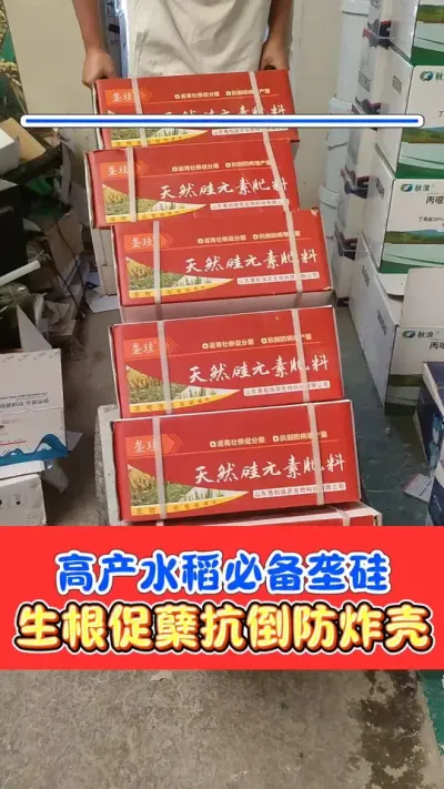 水稻增产抗倒必备垄硅，5块钱一斤 厂价直销5块钱一斤天然硅元素肥料，硅肥再也不用买贵了#水稻 #水稻种植 #垄硅 #农资肥料 #农业种植