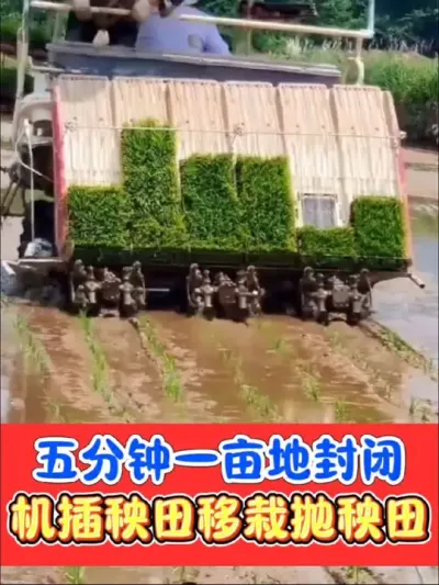机插秧田移栽抛秧田封闭药球省工省事效果好 三元复配加强版封闭小药球，大户首选，没有漂移药害#水稻 #水稻种植 #水稻封闭除草剂 #农资肥料 #水稻除草剂