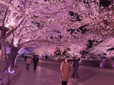 ��Ҫ��ԥ ������������������ɰ���Ů����������.#����?