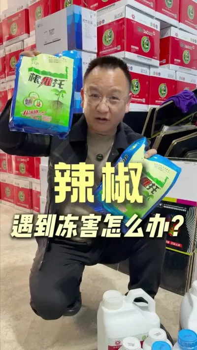 �����������¶���Ҫ��Ҫ�����������֪������ô����#ũҵݪֲ #��ũ #�����ݪֲ����