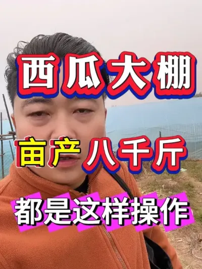 �������� û�в��������� #����ݪֲ #������ #����ݪֲ #�������� #8424����