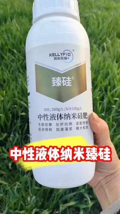 正品中性液体纳米硅肥臻硅一瓶二十亩 #臻硅 #硅肥 #农资肥料 #小麦种植 #吴平农资