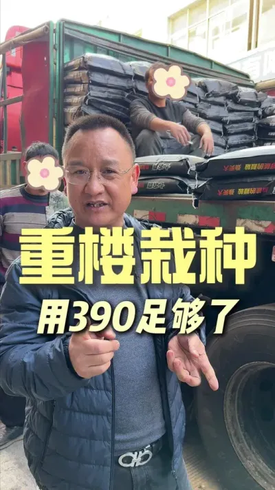 ��¥������390���㹻��#ũҵݪֲ #��ũ #ݪֲС����