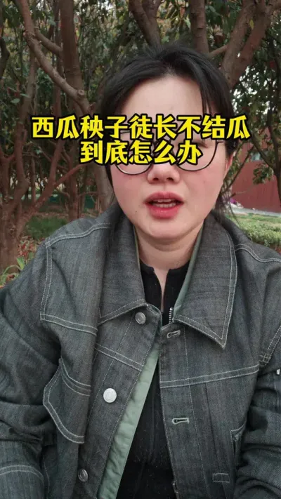 #西瓜种植#西瓜管理#西瓜种植技术#西瓜高产