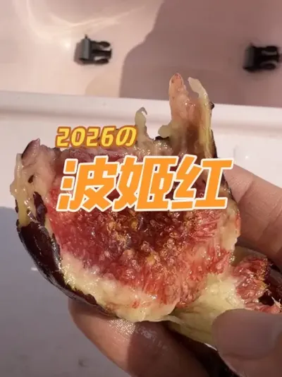 �����һ���޻����������Ǿ�����Ʒ�ֲ���������ʵ��͸�Ĳ����첢�������#�޻���#������#�����޻���