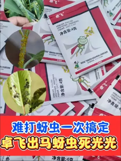 蚜虫克星就用卓飞 卓飞出马，蚜虫死光，2袋一桶水，轻松搞定各种难打蚜虫#蚜虫防治 #蚜虫 #蚜虫防治特效配方 #杀虫剂 #农资肥料