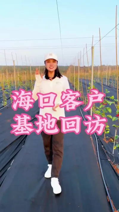 ���ڿͻ����ػط���������ƻ�ֲ����2�κ�ת��ѿͷҲ�������ˣ�#�����ػ��� #��ũ #ũҵݪֲ #�����#�ҵ��������� @����С���� @DOU+С����