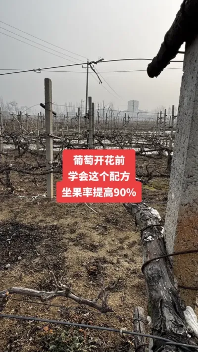 �����Ż�ǰ��ѧ������䷽�����������90%����#�����Ż�#����ݪֲ#���Ѹ߲�