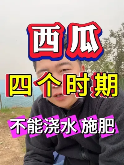 �����ĸ�ʱ�ڲ��ɽ�ˮ ʩ�� #����ݪֲ #������ #����ݪֲ #�������� #8424����