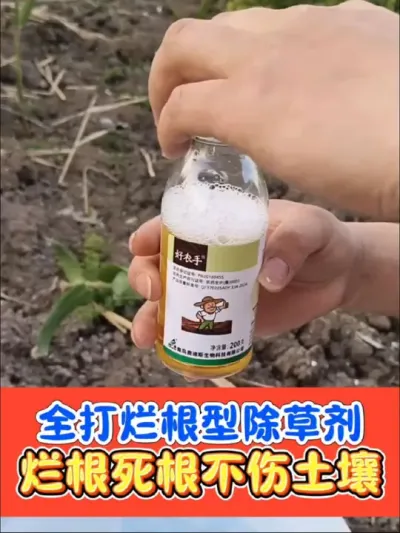 全打烂根型灭生除草剂 好农手组合烂根死根不反弹，下茬安全放心种#除草 #除草剂 #除草剂配方 #农资肥料 #农资店