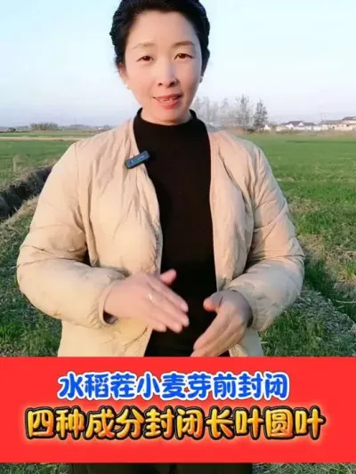 ˮ����С����ѿǰ�رճ��ݼ��컨�� #С��ݪֲ #С��رճ��ݼ� #С����� #ũ�ʷ��� #��ƽũ��