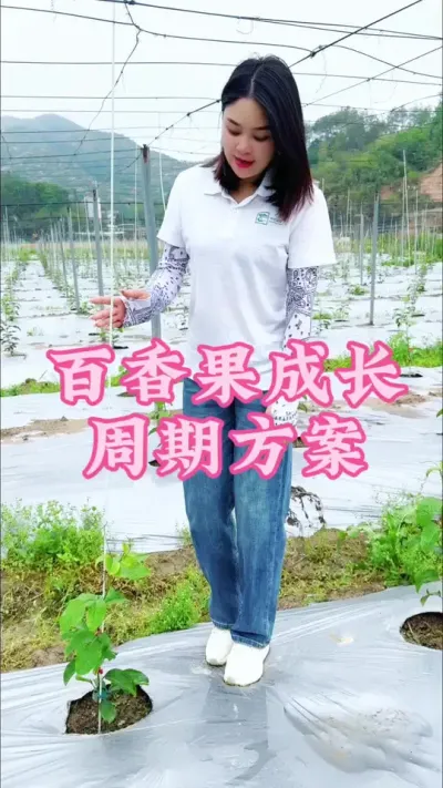 百香果生长周期水肥方案来了！#乡村守护人 #三农 #新农人计划 #百香果 #我的乡村生活 @抖音小助手 @DOU+小助手
