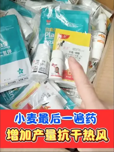 小麦最后增产提质抗干热风组合 小麦灌浆期最后一遍药，剂量足，效果好#农资肥料 #小麦 #小麦种植 #农资肥料#农资店