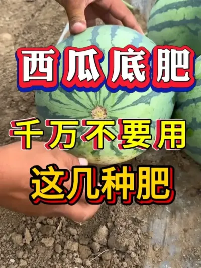 ���ϵ׷�����Ҫ���⼸�ַ� #����ݪֲ #������ #����ݪֲ #�������� #8424����