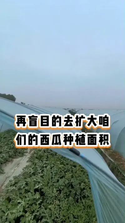 #����ݪֲ #�������� #���� #ݪֲ����