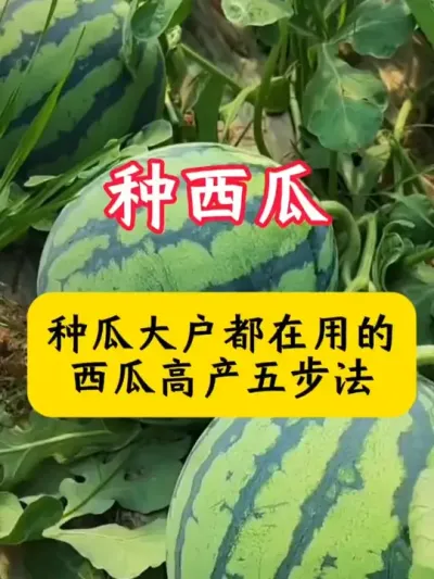 #����ݪֲ #����ݪֲ���� #������ #����