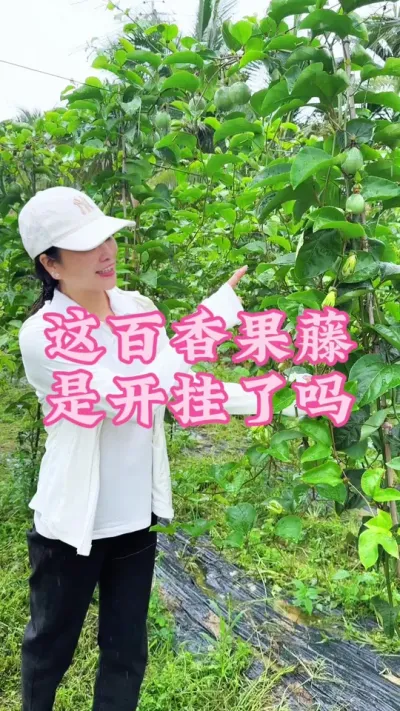 ����������������������һ��֦��һ����������԰�Ĺҹ�����#�����ػ��� #��ũ #�ҵ��������� #�����#��ũ @����С���� @DOU+С����