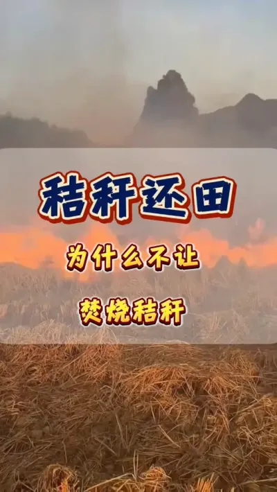 #�ոѻ��� #ũҵݪֲ #�л���