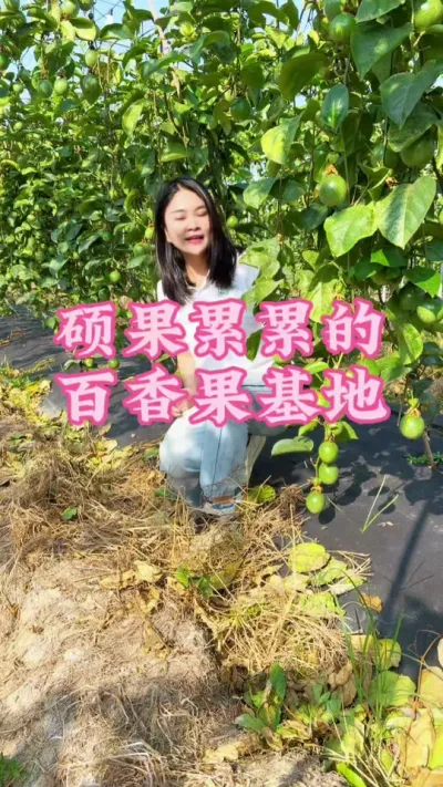 ˶�����۵İ�������ػطã�#�����ػ��� #������ũ #�ҵ�ũ������ #��ũ#�����@����С���� @DOU+С����