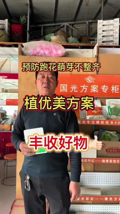 ������ѿ�ƻ�