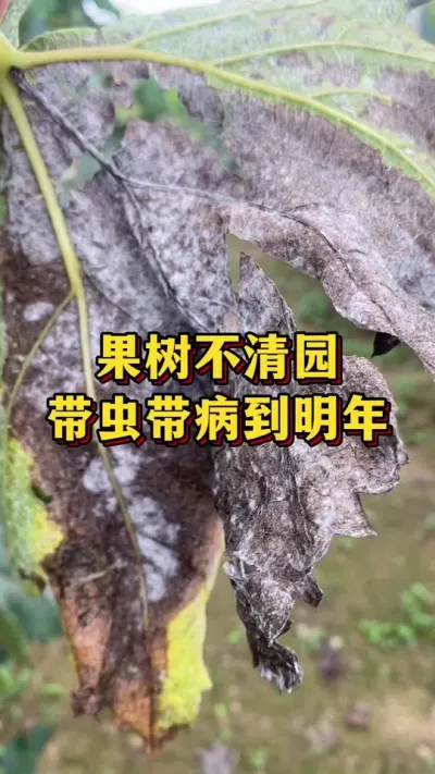 ��������԰��������������� #����ݪֲ #������԰ #�溦����