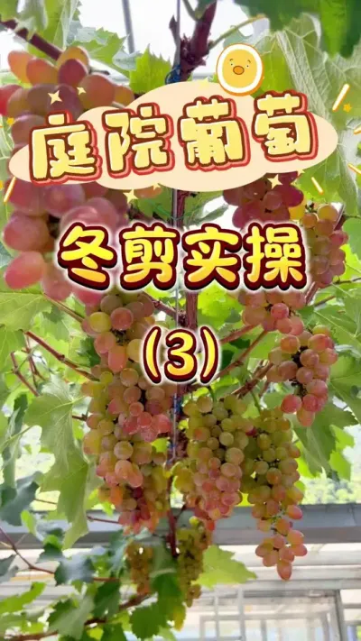 ¥���������Ѷ���ʵ��3���¾�����ͬʱ����#���Ѷ���#����#¥����԰ #��������#������������