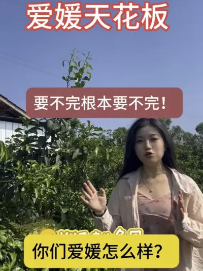 在资中，爱媛保果天花板！你们爱媛今年保住了吗？#柑橘保果 #爱媛38号果冻橙 #柑橘种植