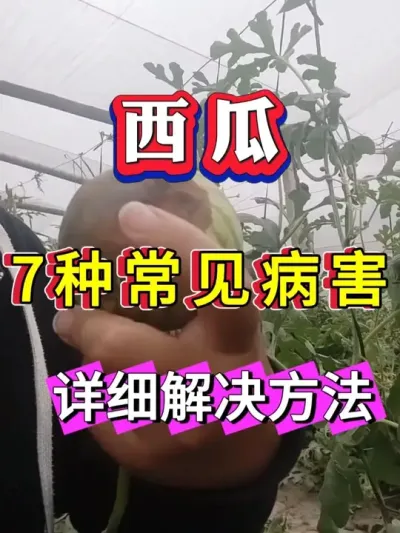 ���ϳ���7�ֲ������Լ�������ҩ #����ݪֲ #������ #����ݪֲ #�������� #8424����