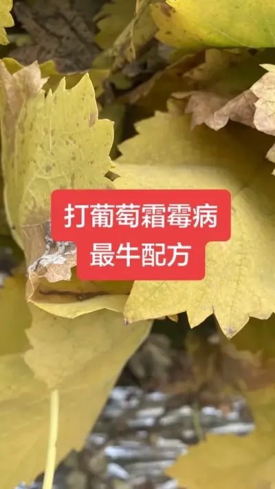 ������˪ù����ţ�䷽#����˪ù��#����ݪֲ#���Ѳ���