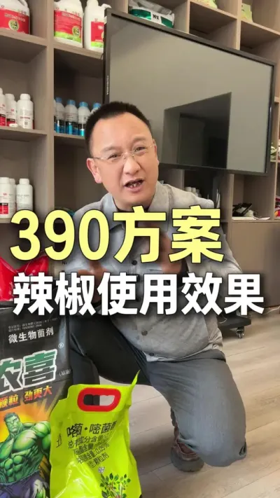 390�ƻ�������ʹ��Ч����#ũҵ�����ƹ� #ݪֲС���� #��ũ #�׷� #��ɽ