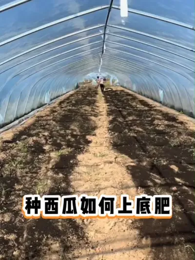 #����ݪֲ#���Ϲ���#�������ղ���Ӳԭ��#ݪֲС����#��������#