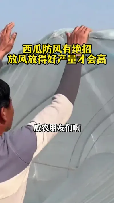 #����ݪֲ#���Ϲ���#���ϸ߲�#����ݪֲ����