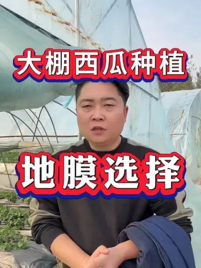 ��������ݪֲ ��Ĥ��ѡ�� #����ݪֲ #������ #����ݪֲ #�������� #8424����