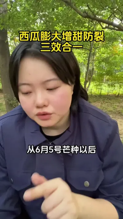 #西瓜种植#西瓜膨大#西瓜高产#西瓜增甜