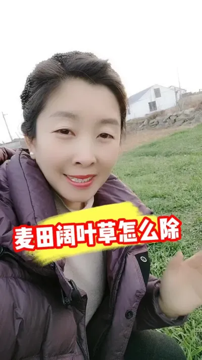 С������Ҷ�Ӳ���ô���� #С��ݪֲ #С����ݼ� #С����� #ũ�ʷ��� #ũҵݪֲ