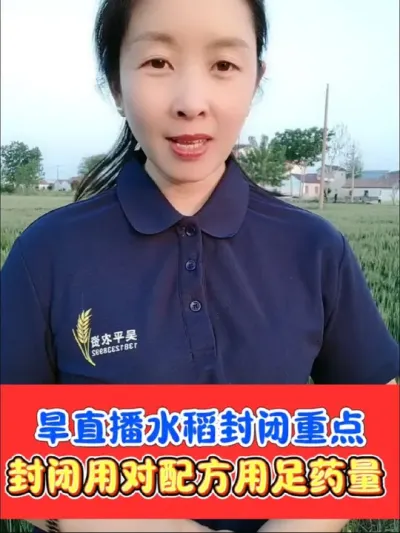 旱直播水稻如何封闭 选对药剂，用足药量，打足水量，抓住时机才能把旱直播水稻封闭做好#水稻 #水稻种植 #旱直播水稻 #除草剂 #农资肥料