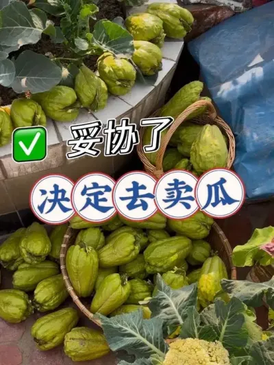 ¶̨С��԰�ֵķ��ֹ�������ȥ����������? �����ʿ�����¸�һ����Ҳ��֪�����������������η��?#��̨�ֲ� #��ʵ���ķ������� #��ժ #���ֹ� #¶̨С��԰