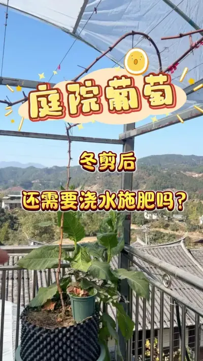 ͥԺ���Ѷ�����Ĺ���#�������� #ͥԺ����#¥����԰#���Ѷ��� #������������