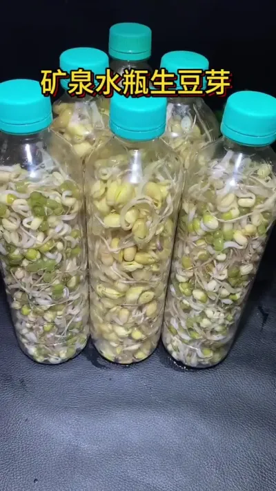 ��Ȫˮƿ��Ҫ�� ��������ѿ�˺�������#��ѿ��#�Լ��ֵĴ���Ȼ����ɫ�߲� #ݪֲ #ݪֲС���� #ݪֲ����Ȥ