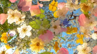 &ldquo;����Լ�����������������겻�ฺ&rdquo;#˭����������ʫ��֮�� #ȡ����������� #���;���